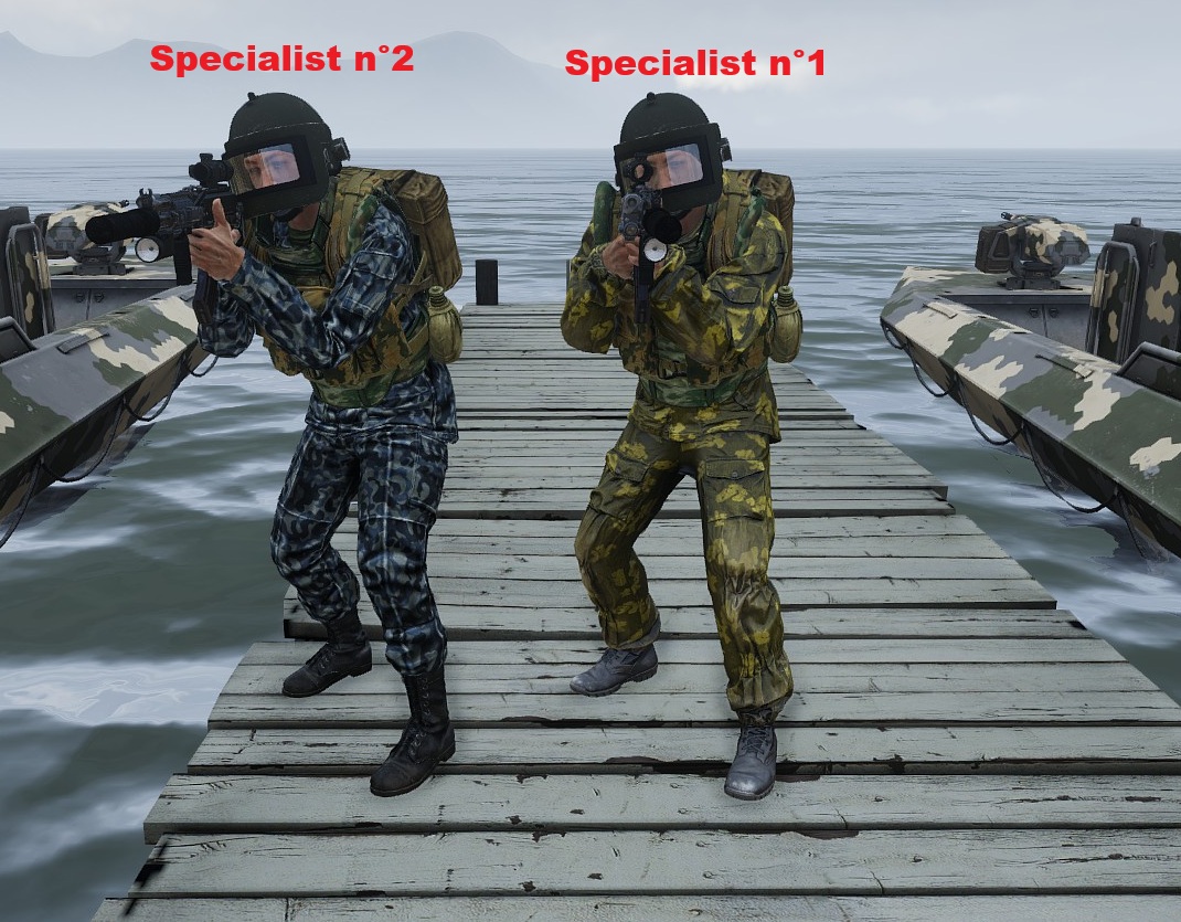 Russian specialists