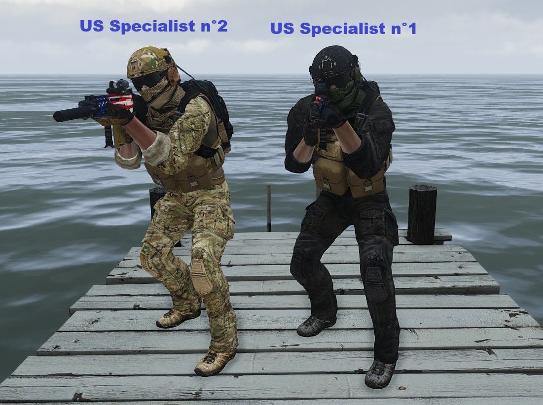 US specialists