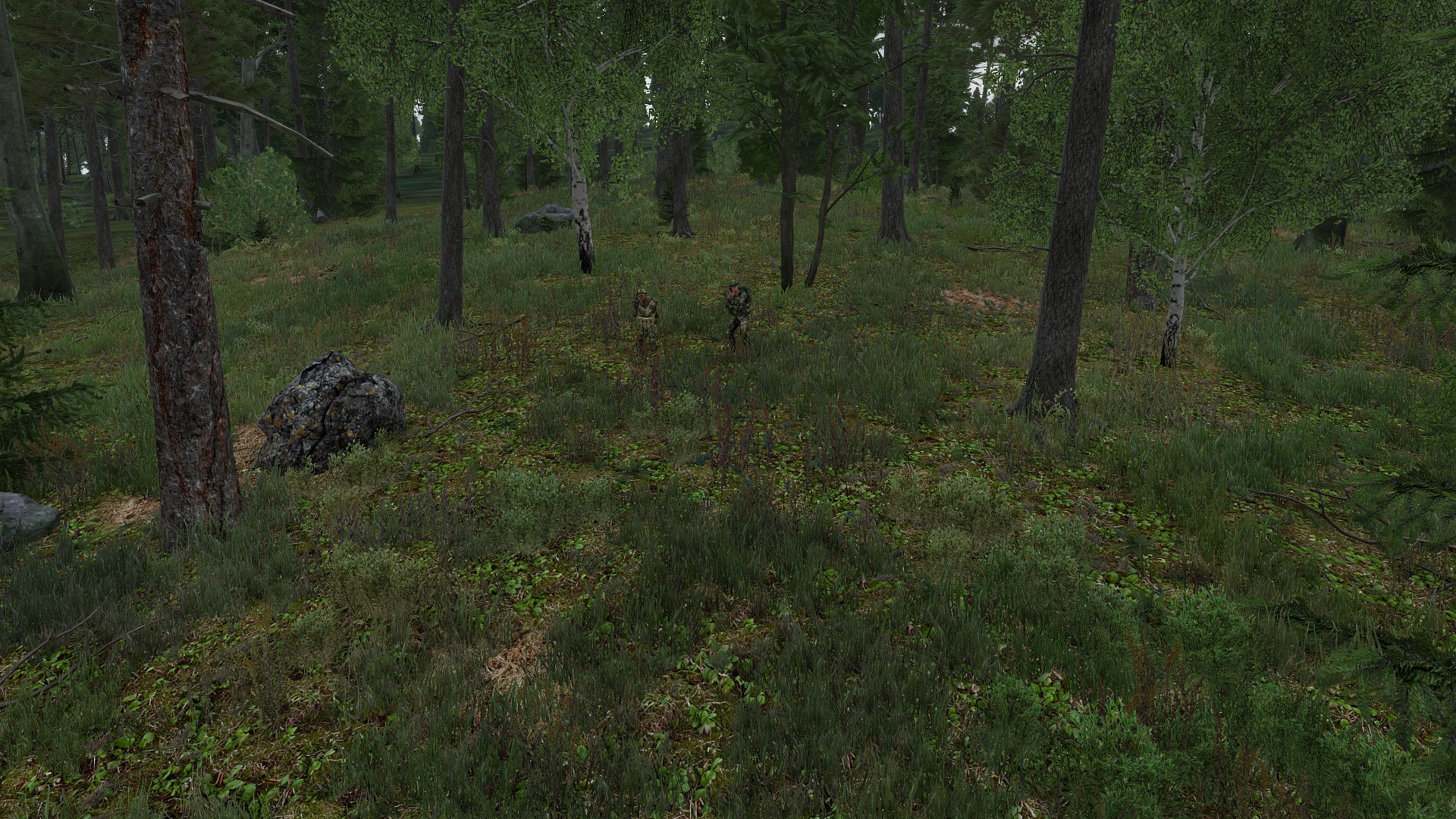 Uniforms into forest