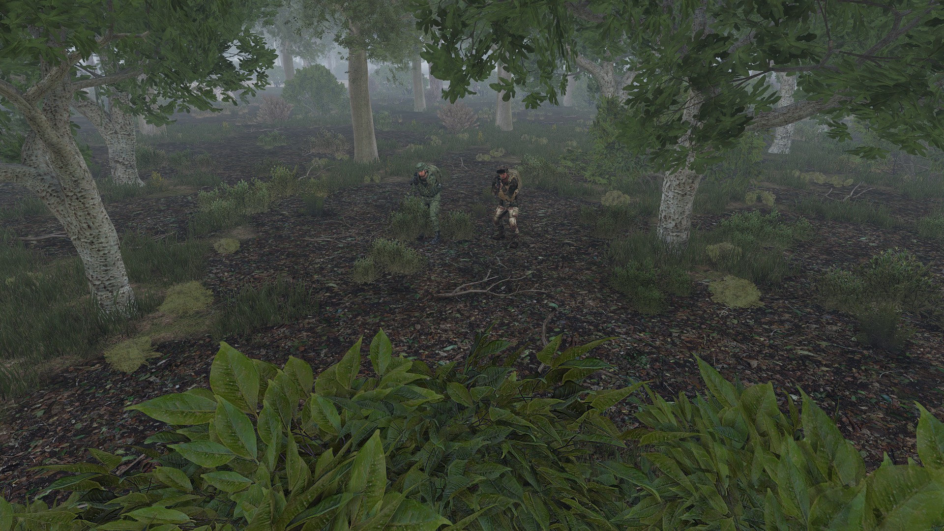 Uniforms into forest