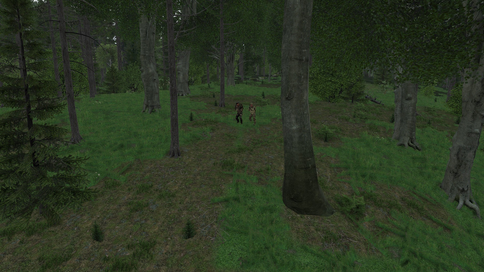 Uniforms into forest